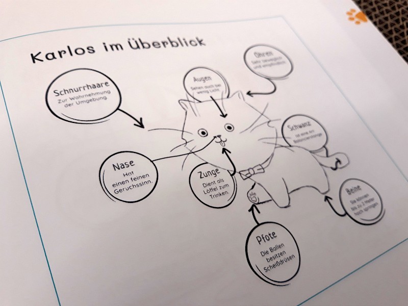 Fachhochschule Dresden, Grafikdesign, Bachelorarbeit