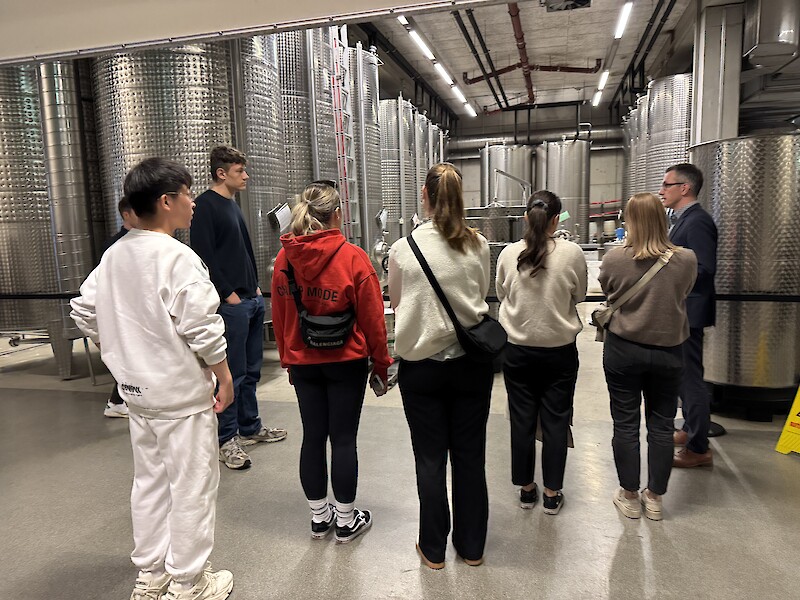 Führung durch den Weinkeller