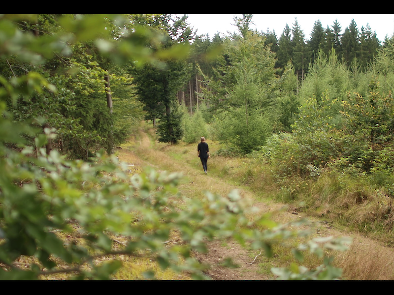 Der Filmemacher Niklas Gohl erkundet in seinem Experimentalfilm Mori No Me die faszinierende, mystische Welt des Waldes. Ganz in der Tradition von von Maya Deren und ihrem Film 