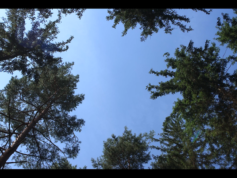 Fachhochschule Dresden - Experimentalfilm: 