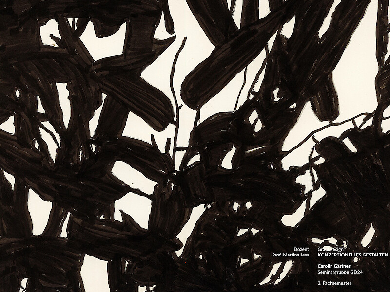 Fachhochschule Dresden, Grafikdesign, Konzeptionelles Gestalten, Kommunikationsdesign