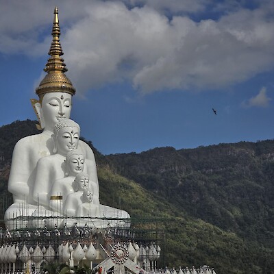 Miriam's semester abroad in Thailand