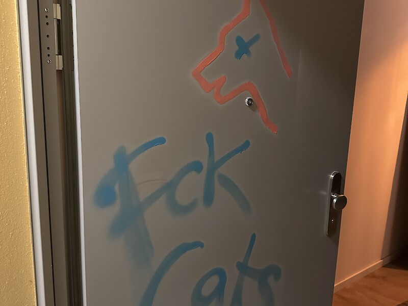 Short film: “Pet Question” in the Digital Media Design program