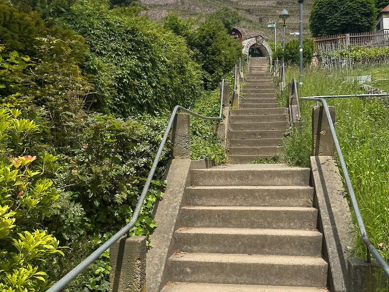 Staircase in Radebeul