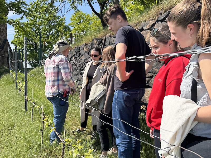 Field trip to Radebeul as part of the Tourism & Event Management degree programme